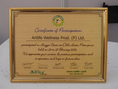 adc11 Artlife Delhi Participation certificate in Exhibition
